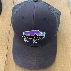 Patagonia hat